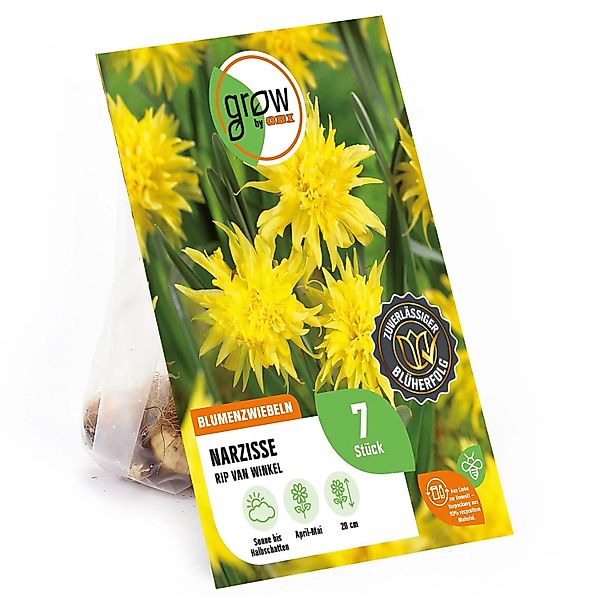 GROW by OBI Narzisse Rip van Winkel Gelb 7 St.Narcissus double Rip van Wink günstig online kaufen