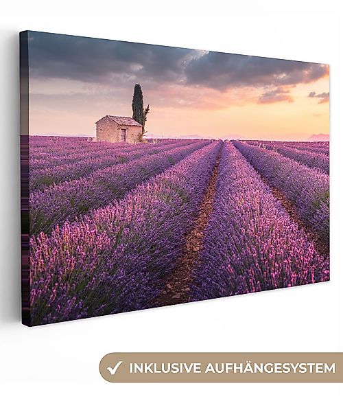 OneMillionCanvasses® Leinwandbild Lavendel - Blumen - günstig online kaufen