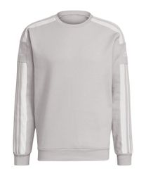 adidas Performance Sweatshirt adidas Performance Squadra günstig online kaufen