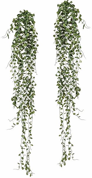 Creativ green Kunstranke "Mühlenbeckia-Hänger", 2er Set günstig online kaufen