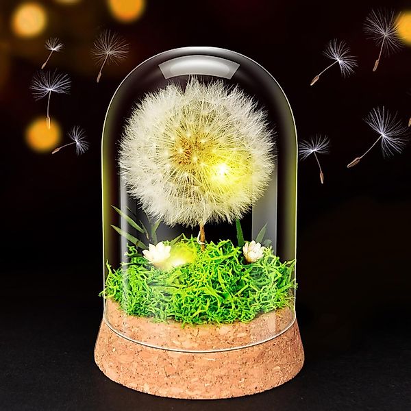 Trockenblume Wunscherfüller Pusteblume im Glas mit günstig online kaufen