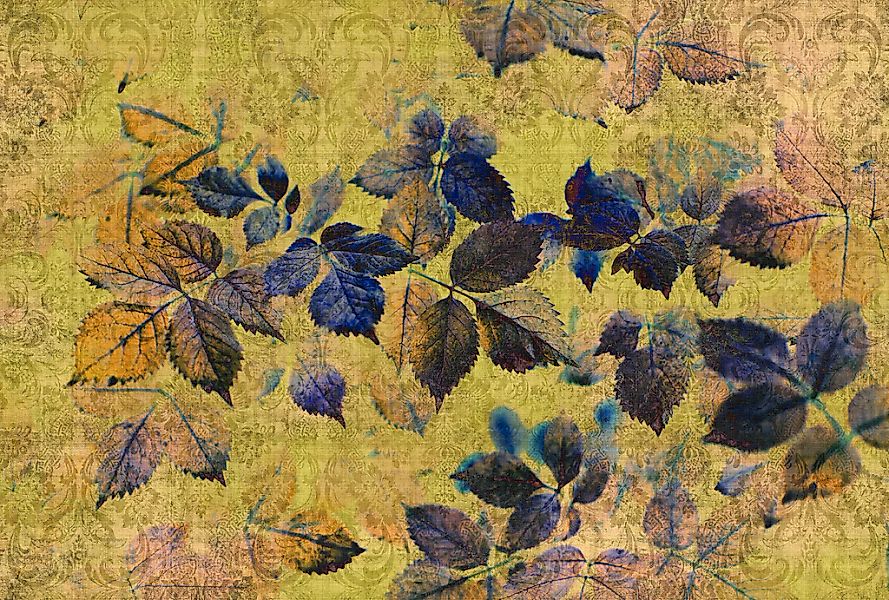 living walls Fototapete "Walls by Patel Indian Summer 1" glatt Vlies, Wand, günstig online kaufen