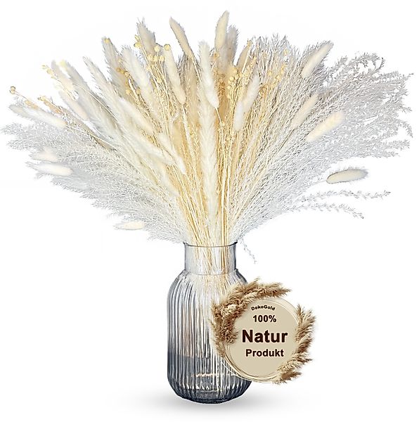 Trockenblume Trockenblumenstrauß Pampasgras, Nina-Maria's Deko Gold, günstig online kaufen