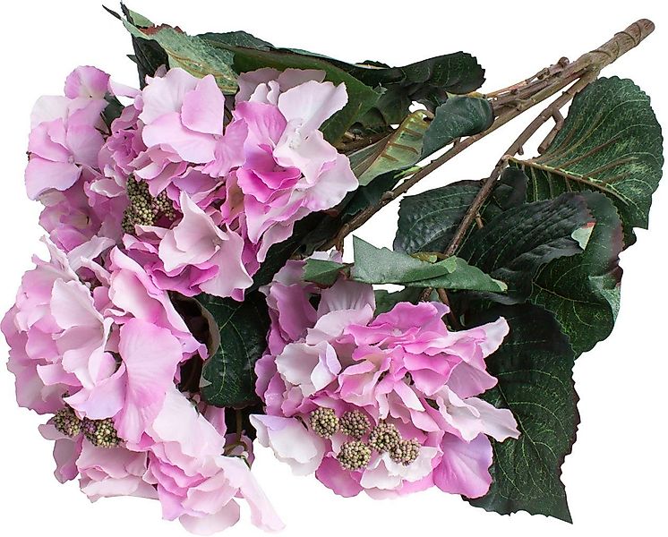 Kunstblume Hortensienbusch mit 5-Blueten, Botanic-Haus, Höhe günstig online kaufen