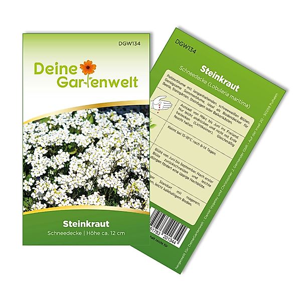Deine Gartenwelt Steinkraut Schneedecke Samen günstig online kaufen