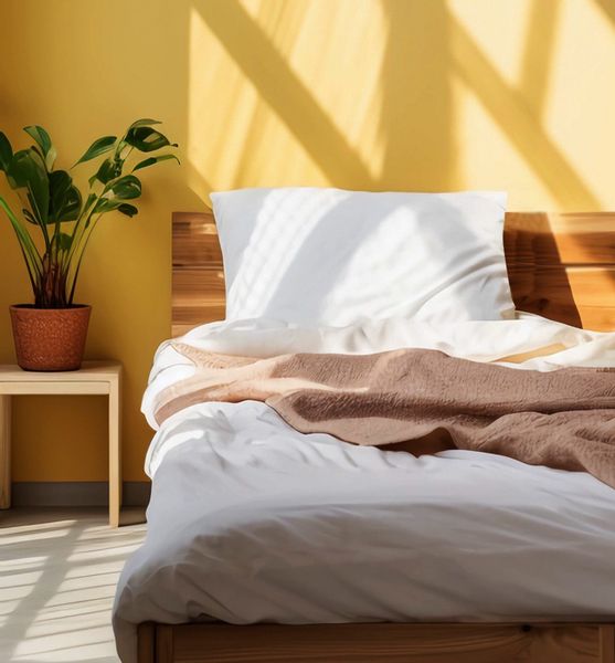 SaladHouse Bettwäsche Satin Bettwäsche-sets: Bettbezug + günstig online kaufen