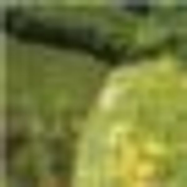 KiNZLER Partnerbettwäsche "Partnerbettwäsche 4-teilig "Berge"" 4 Stk. tlg. günstig online kaufen