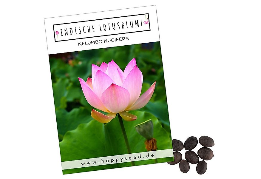 HappySeed Blumensamen Lotus Samen winterhart (Nelumbo nucifera) - Indische günstig online kaufen