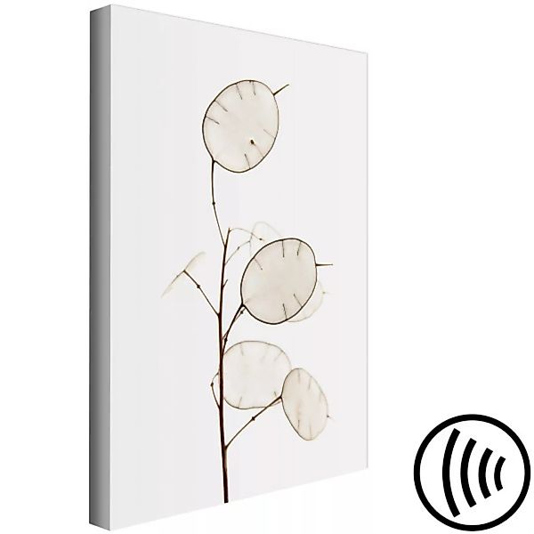 Leinwandbild Einjähriges Silberblatt – ein minimalistisches Naturmotiv, das günstig online kaufen