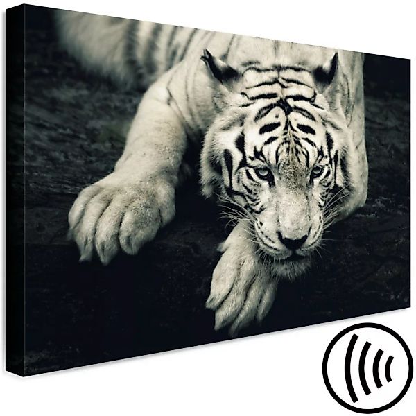 Leinwandbild Ruhiger Tiger - Grafik in Sepia mit einem liegendem Tiger XXL günstig online kaufen