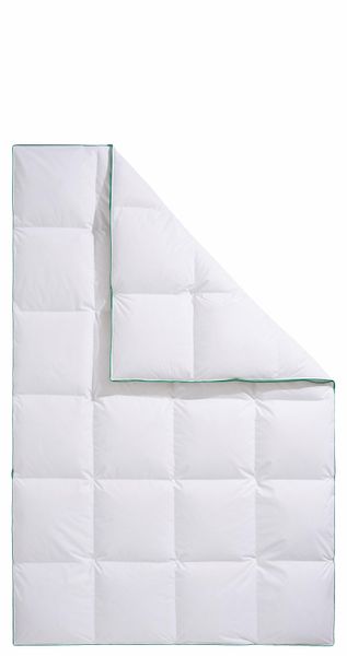 fjödur Daunenbettdecke + Kopfkissen "Fee" günstig online kaufen