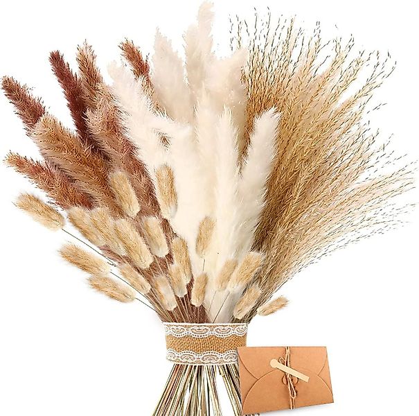 Trockenblume für Hochzeits-Boho-Blumen und Tischdekoration zu Hause, Coonoo günstig online kaufen