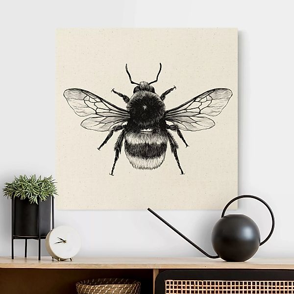 Leinwandbild auf Canvas Natural Illustration fliegende Hummel Schwarz günstig online kaufen