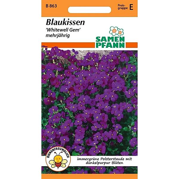 SAMEN PFANN Blaukissen Aubrieta günstig online kaufen
