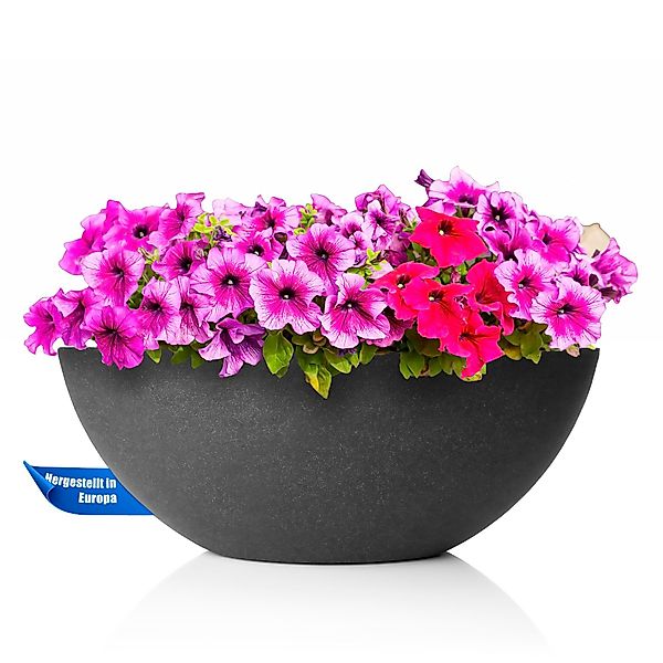 BigDean Pflanzschale ovale Wasserschale - 51x23,5x20 günstig online kaufen