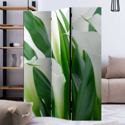 Fotoprint Paravent in Weiß und Grün Callablüten Motiv günstig online kaufen