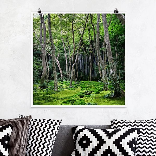 Poster Natur & Landschaft - Quadrat Growing Trees günstig online kaufen