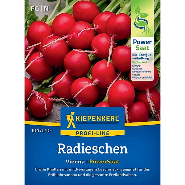 Kiepenkerl Radieschen Vienna (Raphanus sativus) günstig online kaufen