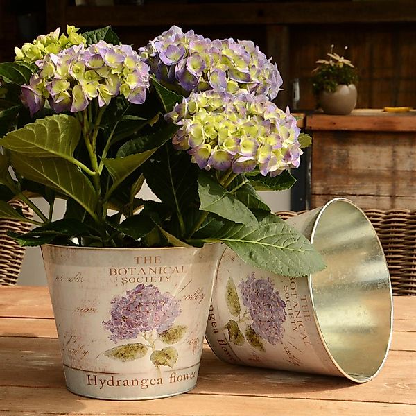 UNUS GARDEN Blumentopf Topf Zink rund günstig online kaufen