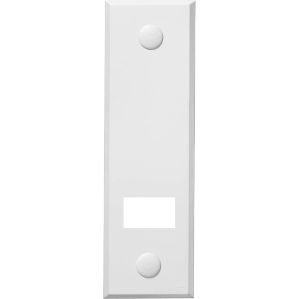 SCHELLENBERG Gurtwickler-Abdeckplatte Standard Maxi, 13,5 cm Lochabstand, l günstig online kaufen