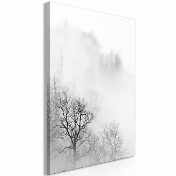 artgeist Wandbild Trees In The Fog (1 Part) Vertical schwarz/weiß Gr. 40 x günstig online kaufen