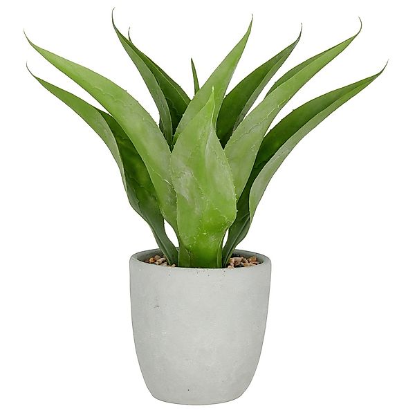 Creativ green Kunstpflanze "Agave", mit 13 Agavenblättern günstig online kaufen