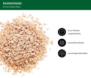 Dehner Rasendünger Mineralisch mit Langzeitwirkung, verschied. günstig online kaufen