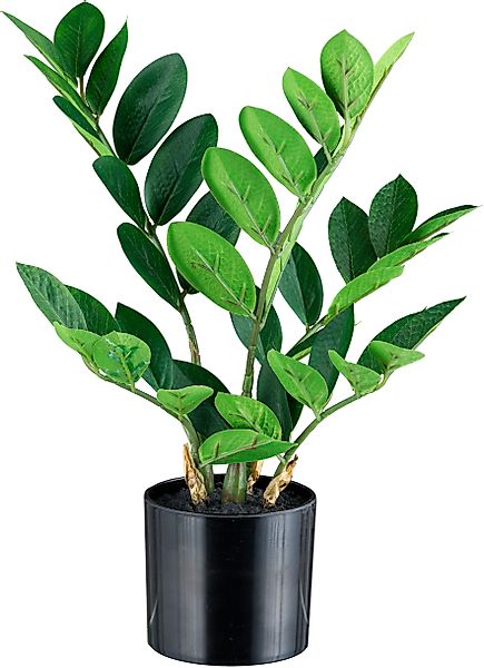 Kunstpflanze Zamifolia Grünpflanze, Creativ green, Höhe günstig online kaufen