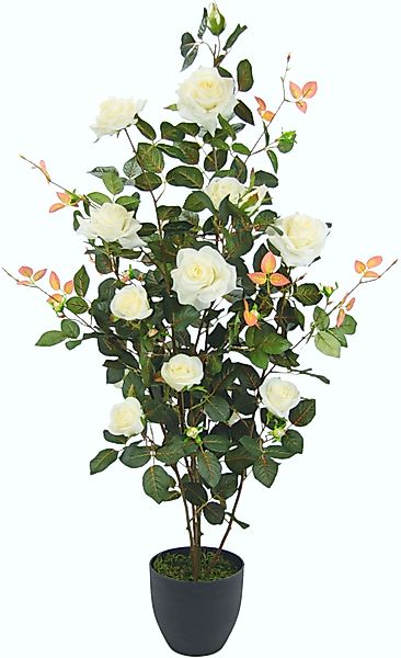Kunstbaum Rosenbusch im Topf, I.GE.A., Höhe günstig online kaufen