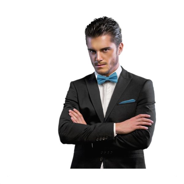 GASSANI Fliege Hochzeitsfliege Karo Tuch Festlich, günstig online kaufen