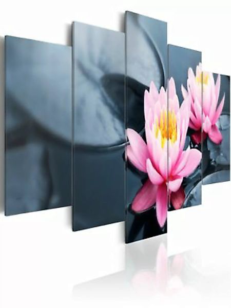 artgeist Wandbild Ein Traum von der Wasserlilie mehrfarbig Gr. 200 x 100 günstig online kaufen