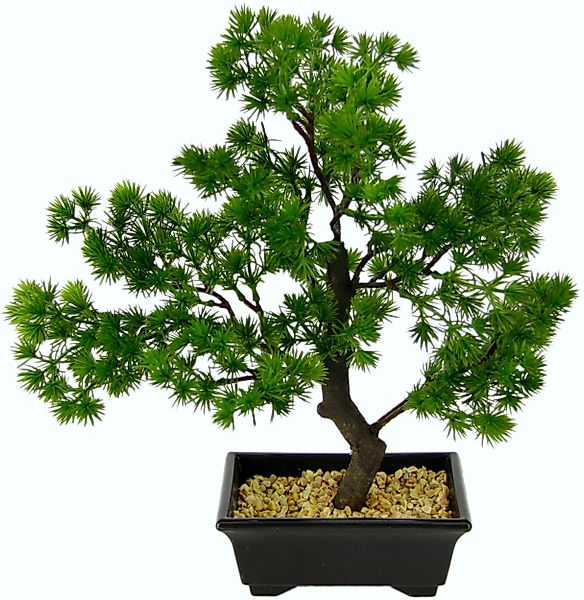 Kunstbonsai Bonsai, I.GE.A., Höhe 33 cm, günstig online kaufen