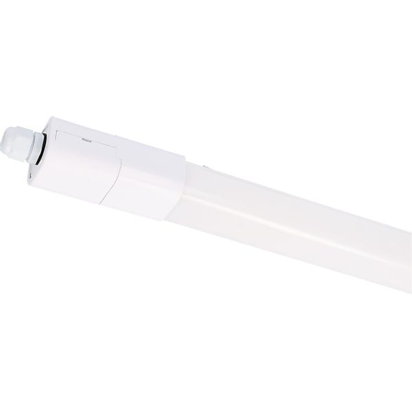 LED's light LED Deckenleuchte 2410253 LED-Feuchtraumleuchte, günstig online kaufen