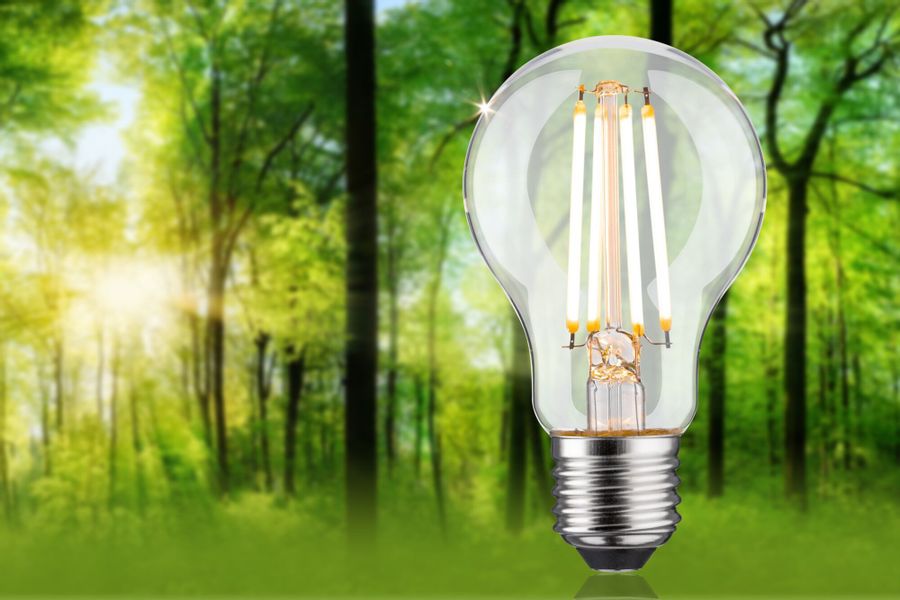 Paulmann LED-Leuchtmittel Eco-Line Filament 230V LED günstig online kaufen