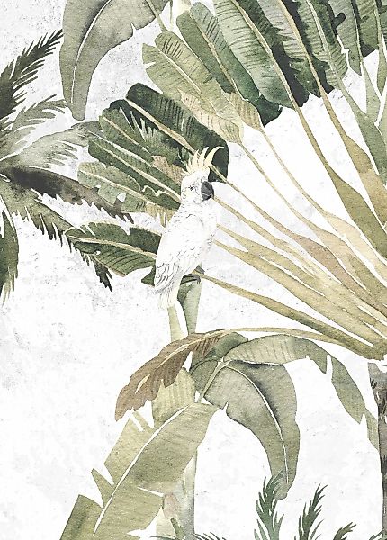 Komar Bild "Oiseau Cacadoo" Natur 1 Stk. tlg. Wandbild zur Dekoration - ohn günstig online kaufen