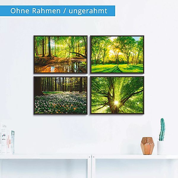 Artland Poster "Wald Bach Frühling Windrosen Sonne Baum", Wald, (4 St.) günstig online kaufen