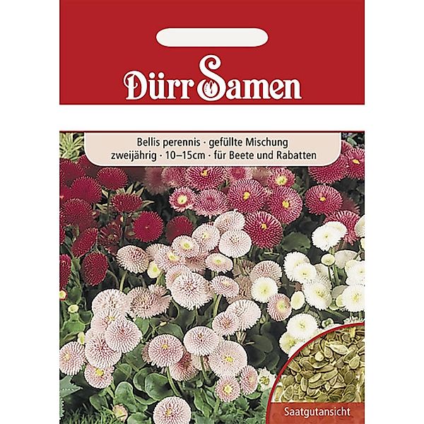 Dürr Samen Gänseblümchen Gefüllte Mischung Zweijährig Saatgut günstig online kaufen