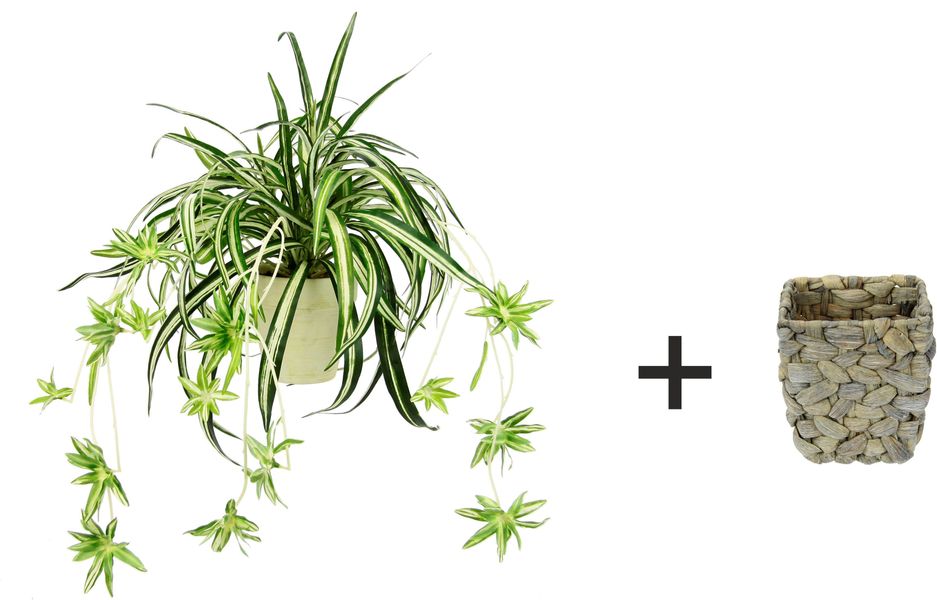 Kunstpflanze Wasserlilie Wasserlilie, I.GE.A., Höhe 35 günstig online kaufen