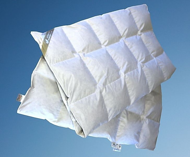 Betten Hofmann 4-Jahreszeitenbett Betten Hofmann Bella-Night günstig online kaufen