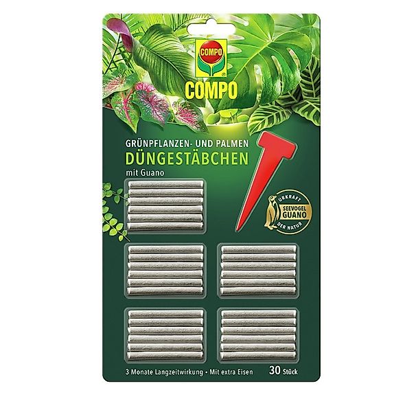 Compo Pflanzendünger COMPO Düngestäbchen Grünpflanzen und günstig online kaufen