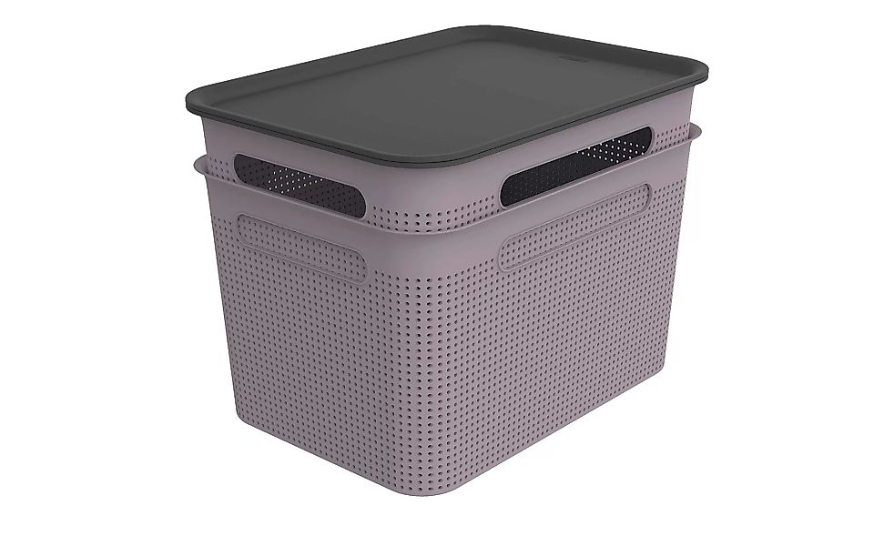 Rotho Aufbewahrungsbox, Set 4 tlg. - lila/violett - Polypropylen - 36 cm - günstig online kaufen