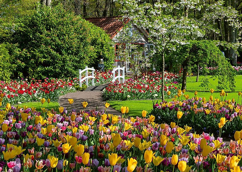 Ravensburger Puzzle Beautiful Gardens, Keukenhof Gardens, günstig online kaufen