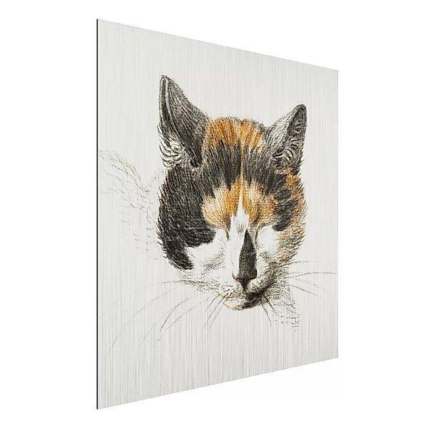 Alu-Dibond Bild Kunstdruck - Quadrat Vintage Zeichnung Katze IV günstig online kaufen