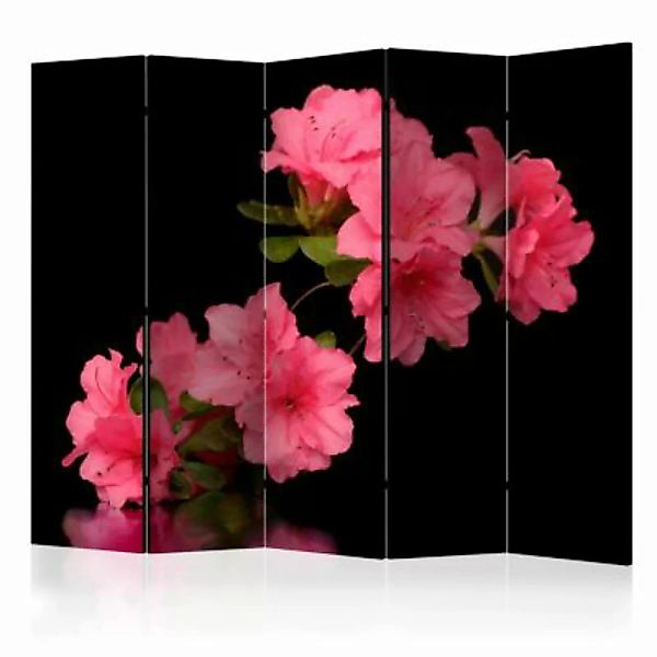 artgeist Paravent Azalea in Black II [Room Dividers] mehrfarbig Gr. 225 x 1 günstig online kaufen