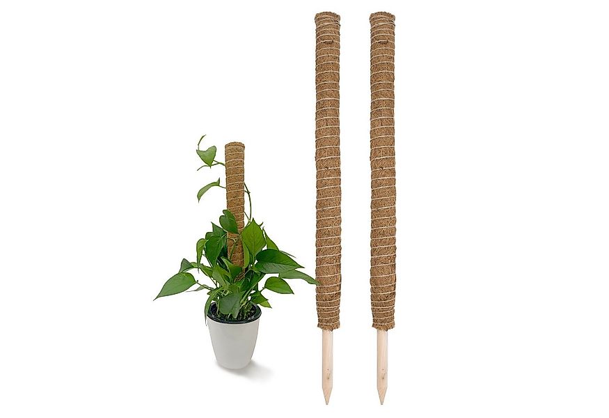 Spetebo Rankhilfe Kokos Rankstab natur - 2 / 4 Stück - Pflanzstab für Zimme günstig online kaufen