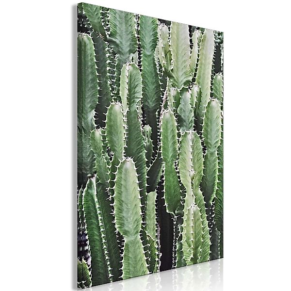 Wandbild - Cactus Garden (1 Part) Vertical günstig online kaufen