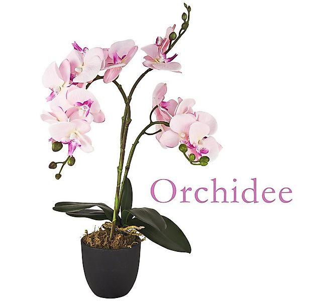 Kunstorchidee Künstliche Orchidee Kunstpflanze Pflanze Rosa Pink Kunstblume günstig online kaufen