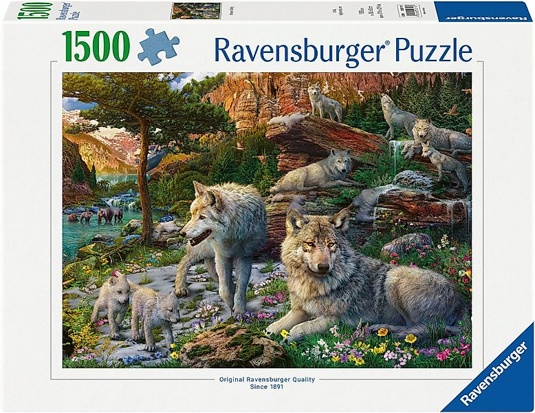 Ravensburger Puzzle Wolfsrudel im Frühlingserwachen, 1500 günstig online kaufen