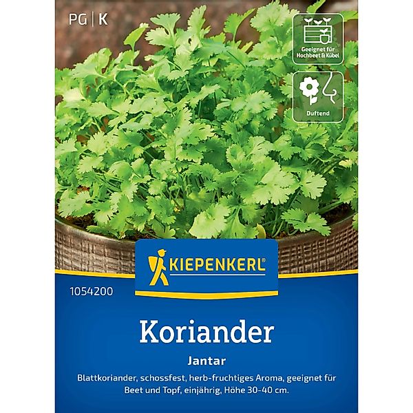 Kiepenkerl Profi-Line Koriander Jantar günstig online kaufen