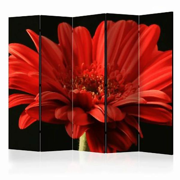 artgeist Paravent Red gerbera flower II [Room Dividers] mehrfarbig Gr. 225 günstig online kaufen